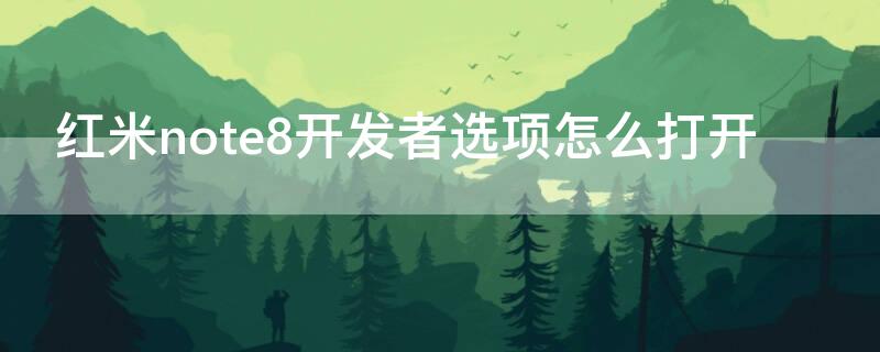 红米note8开发者选项怎么打开（红米note8p开发者选项在哪里）