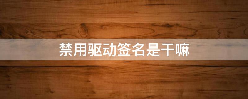 禁用驱动签名是干嘛（禁用驱动程序签字功能）