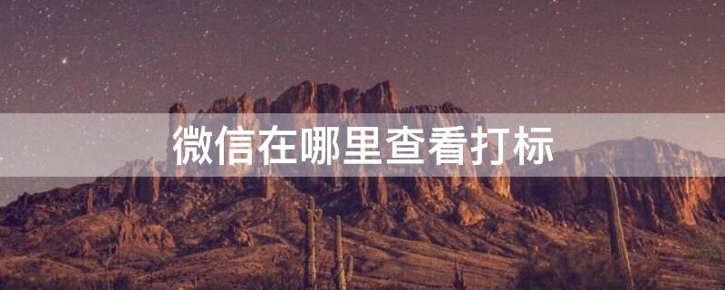 微信在哪里查看打标 微信在哪里查看打标记的内容