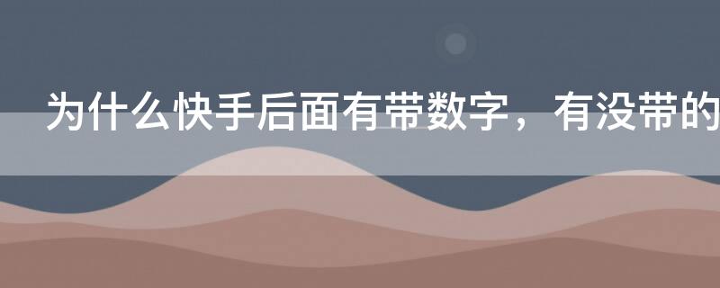 为什么快手后面有带数字，有没带的 快手后边的数字是啥意思