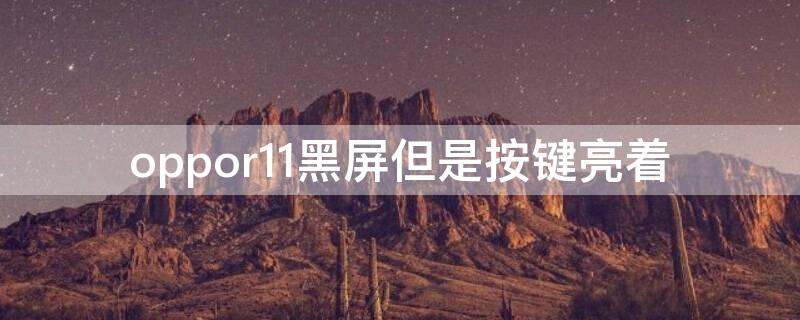 oppor11黑屏但是按键亮着（oppor11屏幕不亮按键亮）