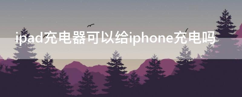 ipad充电器可以给iPhone充电吗（ipad充电器可以用来充iphone吗）