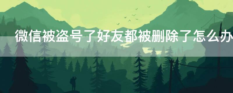 微信被盗号了好友都被删除了怎么办（微信号被盗好友全部删除还能找回来）