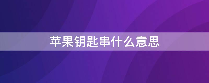 iPhone钥匙串什么意思（iphone的钥匙串是什么）
