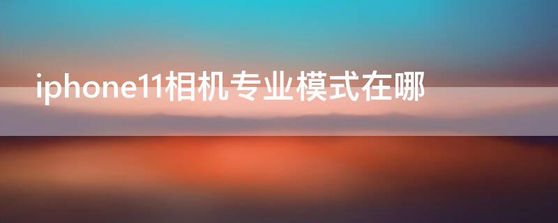 iPhone11相机专业模式在哪（苹果11相机专业）