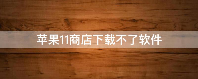 iPhone11商店下载不了软件 苹果11商店不能下载软件怎么办