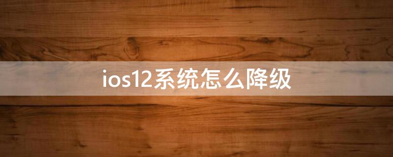 ios12系统怎么降级 ios12.5怎么降级