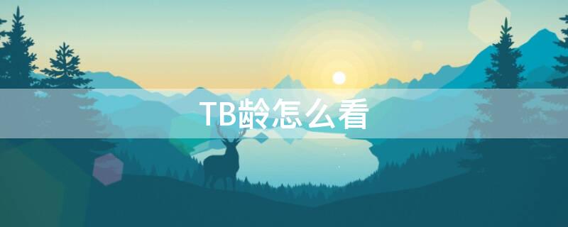 TB龄怎么看（tb包怎么看年份）
