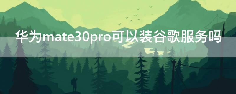 华为mate30pro可以装谷歌服务吗（mate30pro可以安装谷歌服务吗）