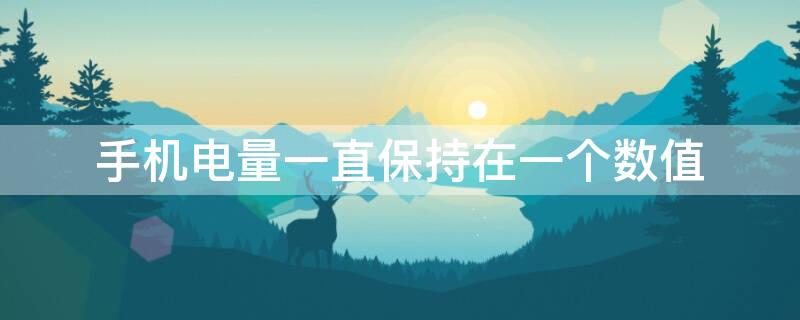 手机电量一直保持在一个数值 手机电量一直保持在一个数值会爆炸吗