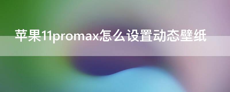 iPhone11promax怎么设置动态壁纸（iphone11promax怎么设置自定义动态壁纸）