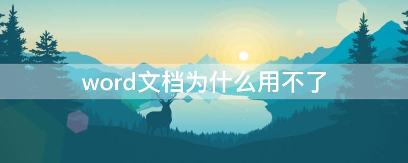 word文档为什么用不了（word文档为什么用不了sum）