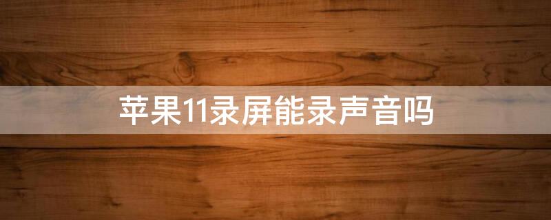 iPhone11录屏能录声音吗 苹果11屏幕录制可以录声音吗