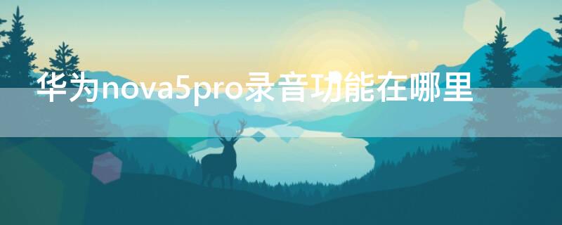 华为nova5pro录音功能在哪里（华为nova5pro的录音功能在哪里）