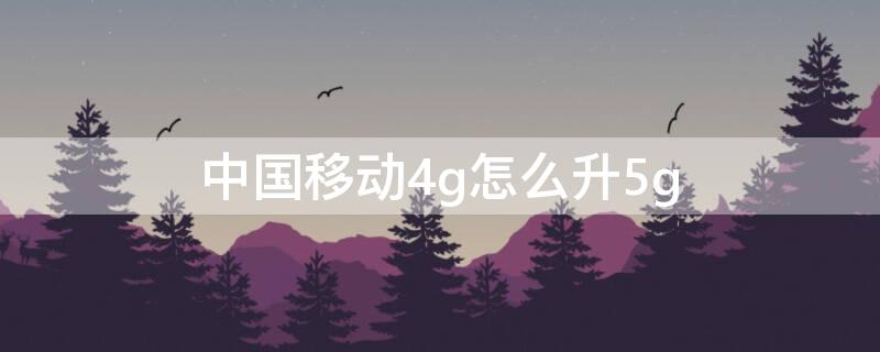 中国移动4g怎么升5g 中国移动4g如何升级5g