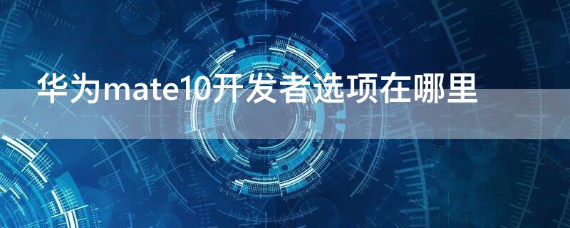 华为mate10开发者选项在哪里（华为mate10开发者选项在哪里打开）