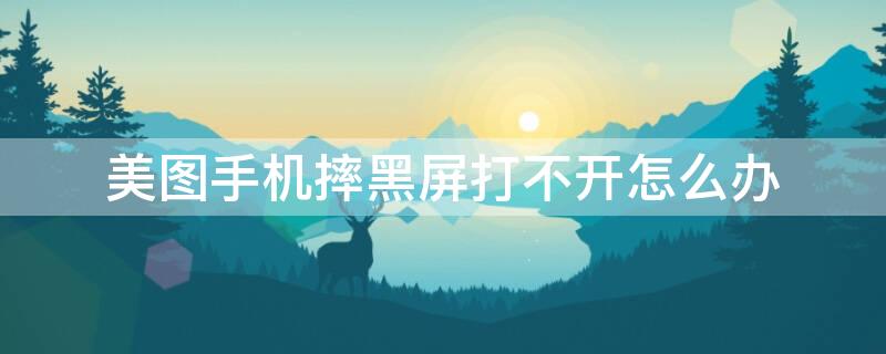 美图手机摔黑屏打不开怎么办（美图手机摔黑屏打不开怎么办呢）