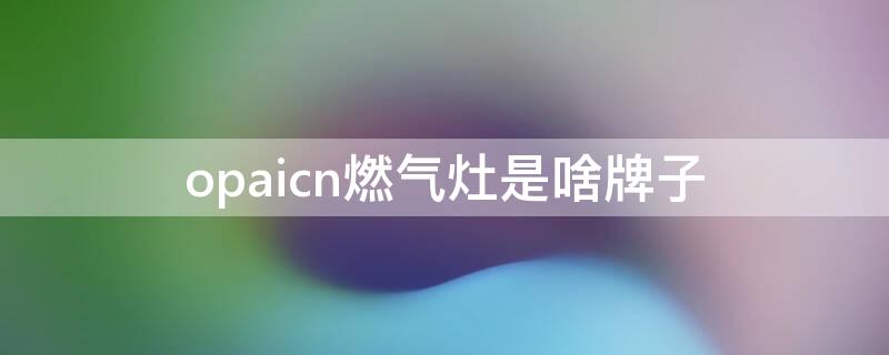 opaicn燃气灶是啥牌子（opaicn燃气灶是啥牌子咋样）