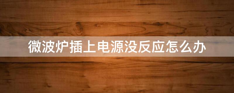 微波炉插上电源没反应怎么办 微波炉插电不亮没反应