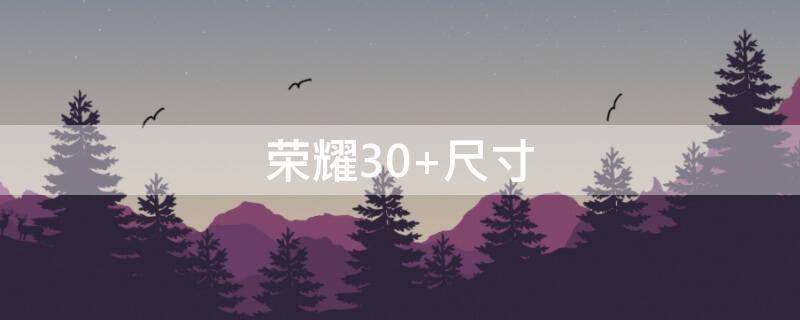 荣耀30 尺寸