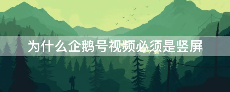 为什么企鹅号视频必须是竖屏（企鹅号竖屏视频有收益吗）