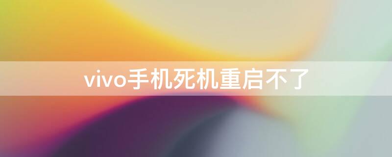 vivo手机死机重启不了（vivo手机死机重启不了,充电也充不进）
