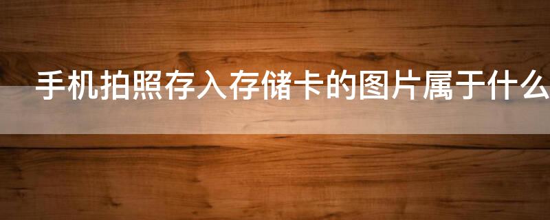 手机拍照存入存储卡的图片属于什么数据
