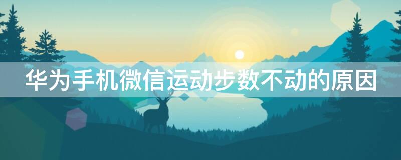 华为手机微信运动步数不动的原因（华为手机微信里运动步数不动）