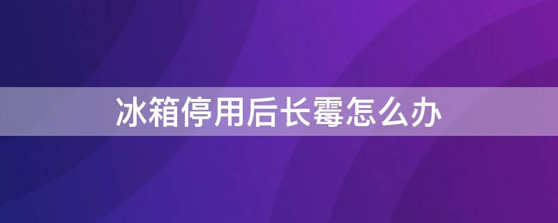 冰箱停用后长霉怎么办 冰箱停用后有异味怎么办