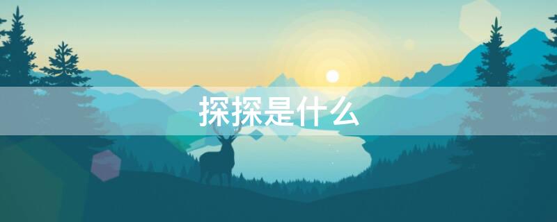 探探是什么（探探是什么意思）