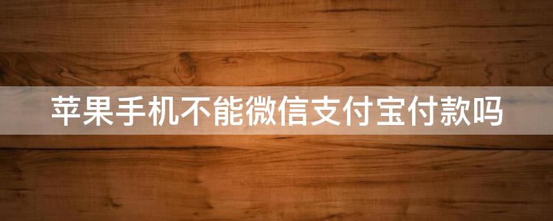 iPhone手机不能微信支付宝付款吗（苹果不可以用微信支付宝吗）