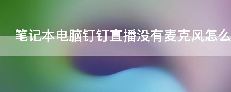 笔记本电脑钉钉直播没有麦克风怎么办