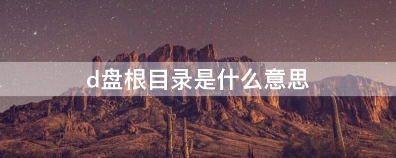 d盘根目录是什么意思（盘的根目录）