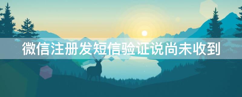 微信注册发短信验证说尚未收到（微信注册一直说尚未收到短信验证码）