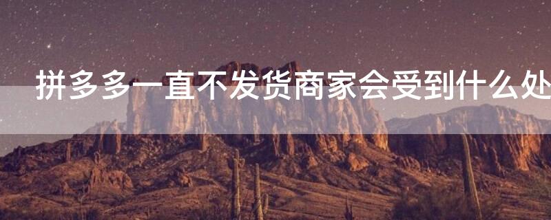 拼多多一直不发货商家会受到什么处罚