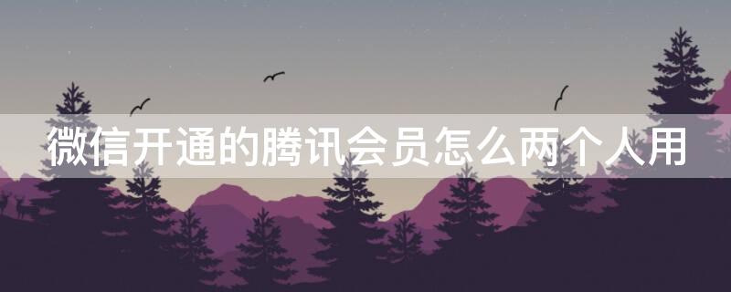 微信开通的腾讯会员怎么两个人用（微信开通的腾讯会员怎么两个人用一个账号）