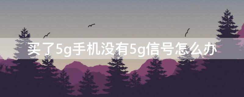 买了5g手机没有5g信号怎么办（买了5g手机没有5g信号怎么办呢）