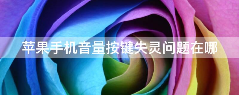 iPhone手机音量按键失灵问题在哪（苹果手机音量按键失灵修复小技巧）