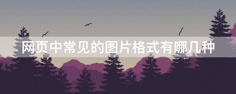 网页中常见的图片格式有哪几种（网页当中常见图片格式）