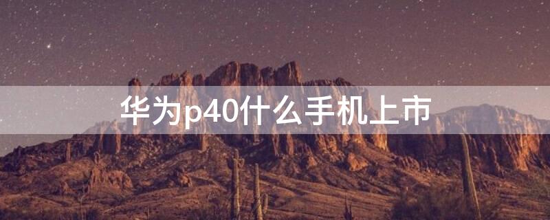 华为p40什么手机上市（华为p40什么手机上市的）