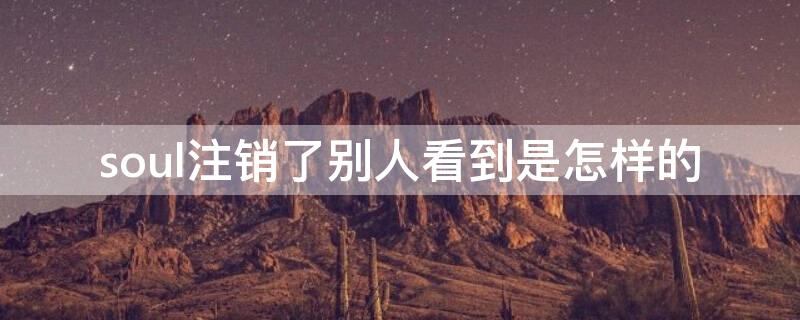 soul注销了别人看到是怎样的 soul注销了别人看到是怎样的图片