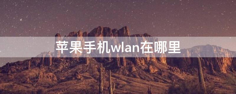 iPhone手机wlan在哪里 苹果手机wlan在哪