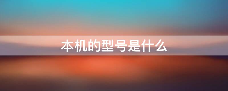 本机的型号是什么 本机型号是什么型号