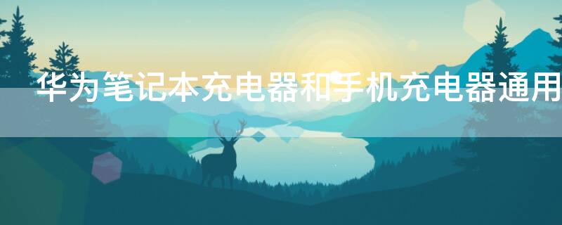 华为笔记本充电器和手机充电器通用吗