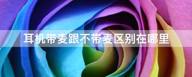 耳机带麦跟不带麦区别在哪里（耳机带麦和不带麦哪个好）