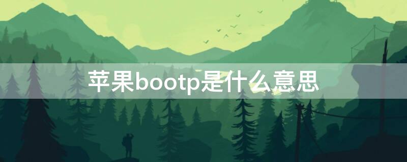 iPhonebootp是什么意思 iphone bootp