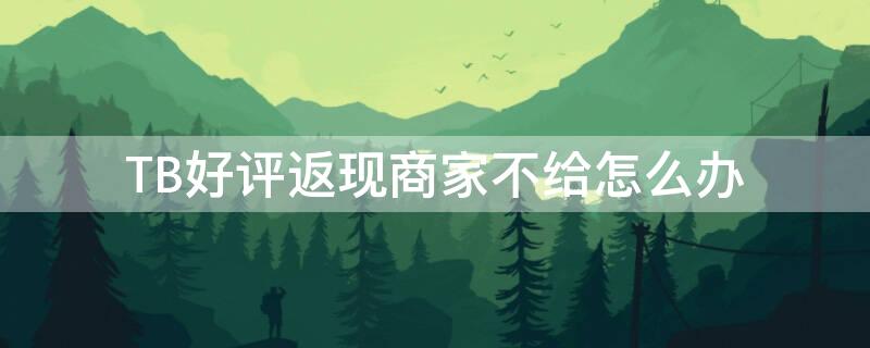 TB好评返现商家不给怎么办 好评返现商家不返