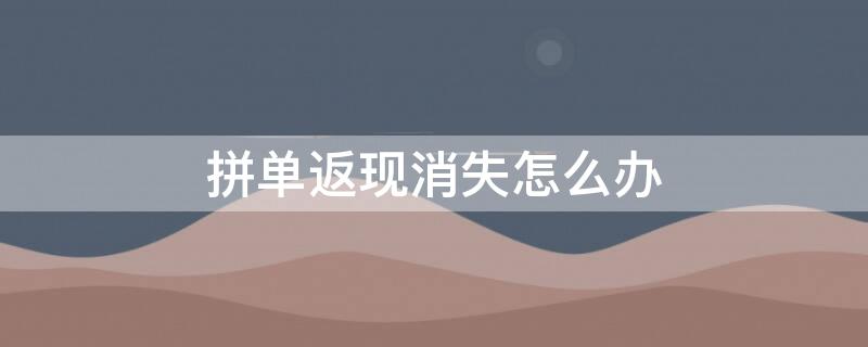 拼单返现消失怎么办（拼单返现消失怎么办理）