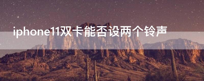 iPhone11双卡能否设两个铃声 苹果11双卡能设置两个铃声吗