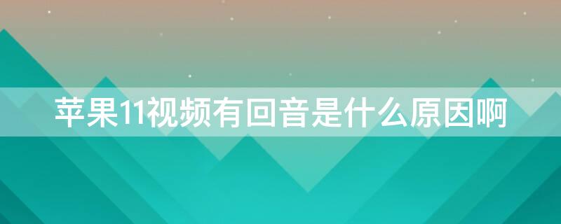iPhone11视频有回音是什么原因啊 苹果11视频自己这边回音很大